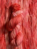 CORAL GABLES Superwash Merino Worsted Yarn- Hand Painted