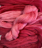 PINK PANTHER Wool/Tencel Sock Yarn Set: Kettle Dyed, Tie Dye Gradient