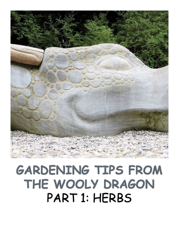 eBook: Gardening Tips From the Wooly Dragon Part 1- Herbs  Digital Download PDF