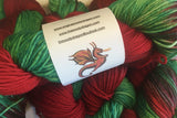 HOLLY JOLLY DK Superwash Merino Yarn- Kettle Dyed