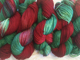 HOLLY JOLLY DK Superwash Merino Yarn- Kettle Dyed