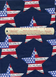 A Plethora of Patriotic Fabric: 6 different pieces totalling over 3.5 yards, All Cotton